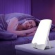 SAD Light Therapy LED Night Light - 10,000 Lux Adjustable Brightness Daylight Lamp with Touch Control, UV-Free Anti-Depression