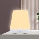 SAD Light Therapy LED Night Light - 10,000 Lux Adjustable Brightness Daylight Lamp with Touch Control, UV-Free Anti-Depression